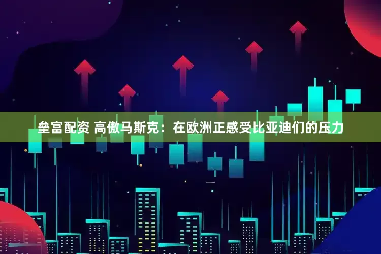 垒富配资 高傲马斯克：在欧洲正感受比亚迪们的压力