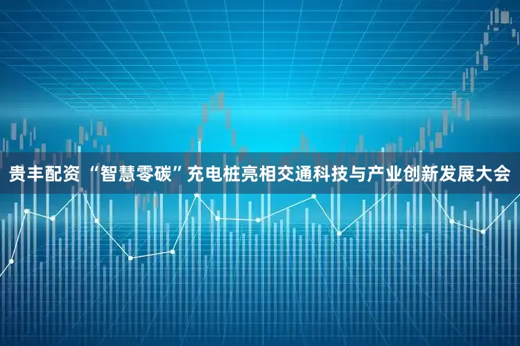 贵丰配资 “智慧零碳”充电桩亮相交通科技与产业创新发展大会