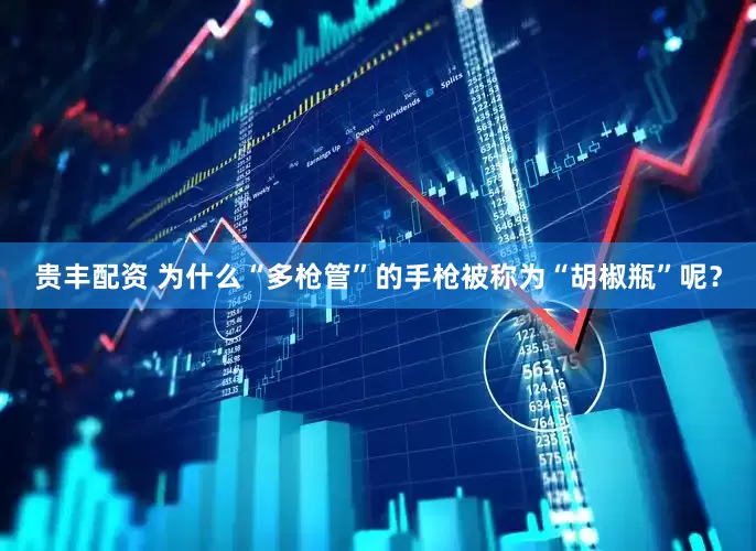贵丰配资 为什么“多枪管”的手枪被称为“胡椒瓶”呢？